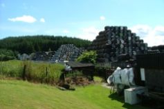 barrels at the cooperage